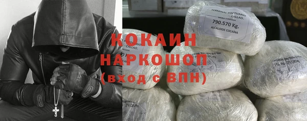 ешки Алексин