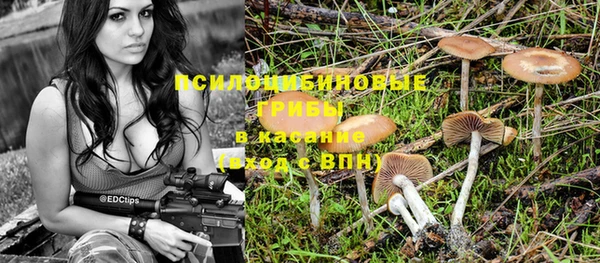ешки Алексин