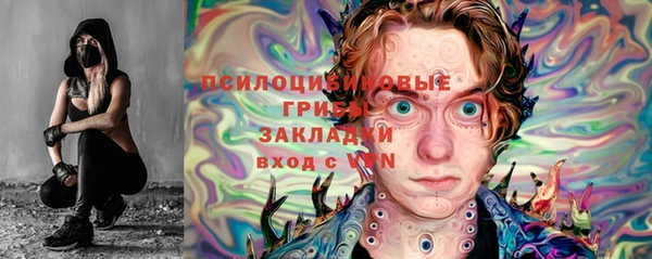 ешки Алексин