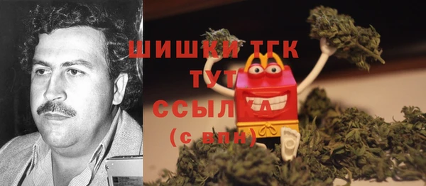 ешки Алексин