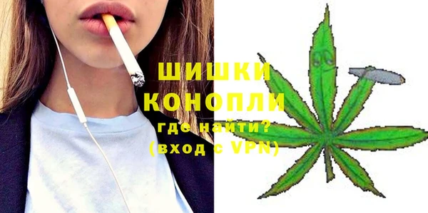 ешки Алексин