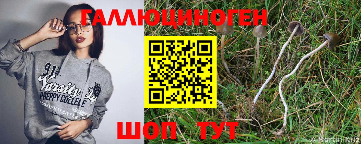 Гашиш  Каннабис  Анжеро-Судженск  COCAIN  Вход с VPN  Меф МЯУ МЯУ  