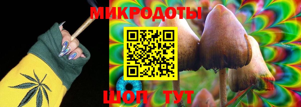 закладки  Вход с VPN  Анжеро-Судженск  Псилоцибиновые грибы Psilocybine cubensis 